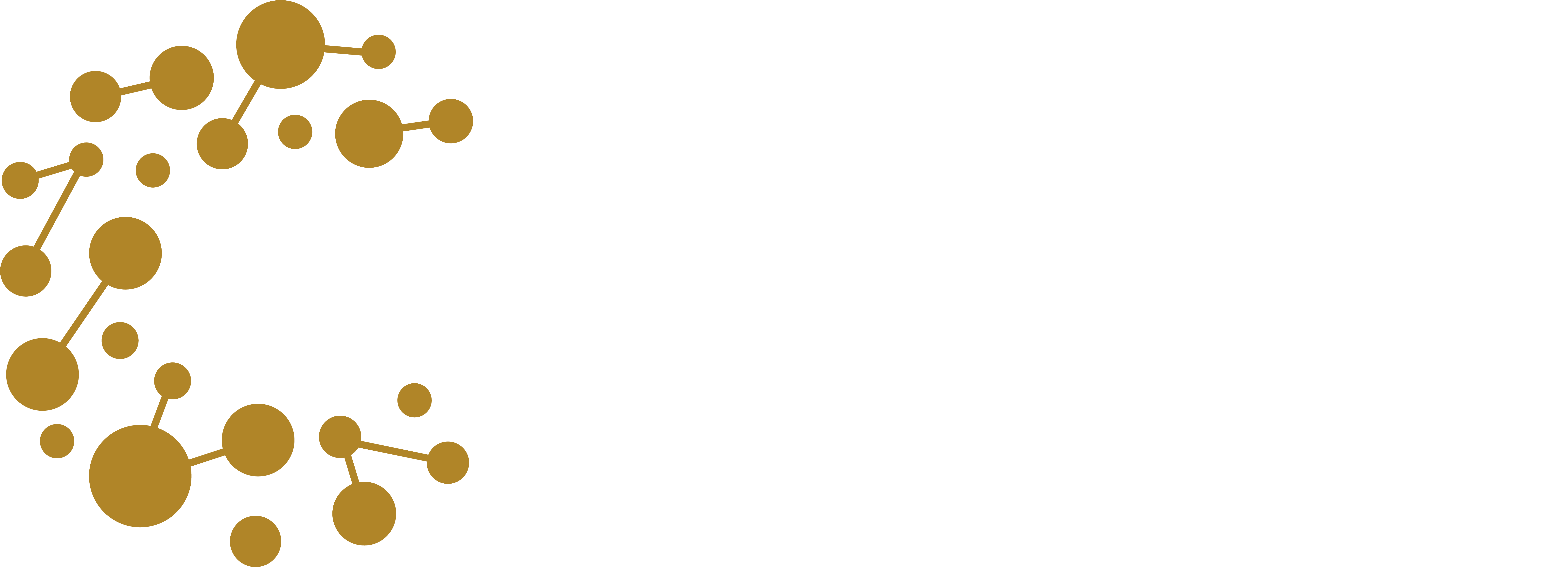 Coin Edex AI